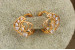 Сережки Xuping Jewelry загадка 1.4 см золотисті