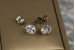 Сережки гвоздики Xuping Jewelry камінці на шість кріплень 7 мм сріблясті