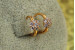 Сережки дитячі Xuping Jewelry квіточка з крапками 10 мм золотисті