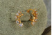 Сережки Xuping Jewelry віял 1.5 см золотисті