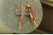 Сережки Xuping Jewelry ріг достатку 2.7 см золотисті
