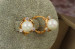 Сережки Xuping Jewelry перлина з трьома каменями 1.3 см золотисті