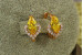 Сережки Xuping Jewelry маркиз із жовтим каменем 1.4 см золотисті