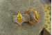 Сережки Xuping Jewelry маркиз із жовтим каменем 1.4 см золотисті