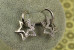 Сережки Xuping Jewelry дві зірки 2,3 см сріблясті